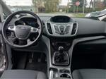 Ford C-MAX 1,6i, 92kw