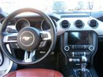 Ford Mustang 5.0 GT V8 EVROPA