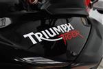 Triumph  Tiger 800 XC